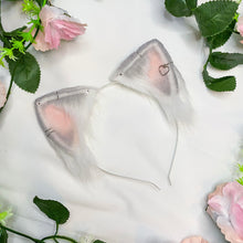 Load image into Gallery viewer, Grey Blushed White Kitten